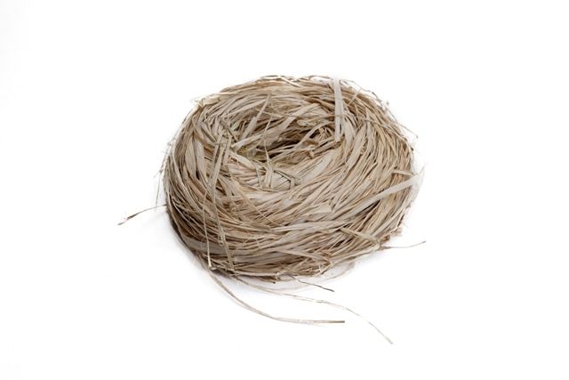 Χόρτο - Raffia- φωλιά