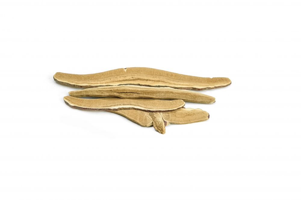 Μανιτάρια Γανόδερμα Sticks