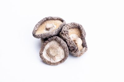 Μανιτάρι Shitake Λεντινούλα