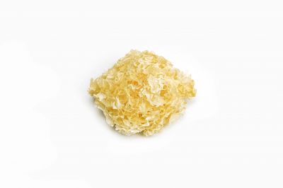 Μανιτάρια Τρεμέλλα Snow Fungus